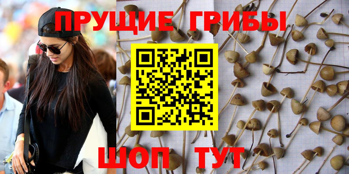Чита  Галлюциногенные грибы мухоморы  Вход с VPN 