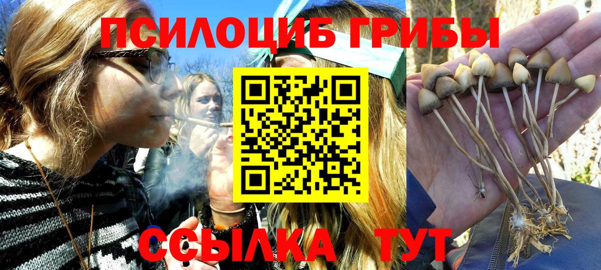 Псилоцибиновые грибы мухоморы Чита